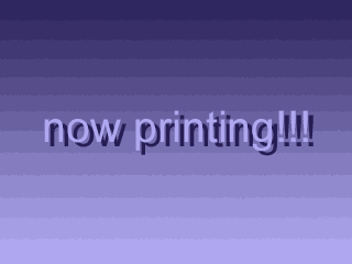 Now Printing!!!　レリーフマップ