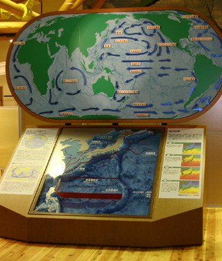 日本周辺および世界の海底模型
